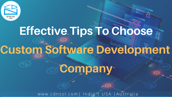 A Quick Guide to Choose Custom Software Development Company for Your Business