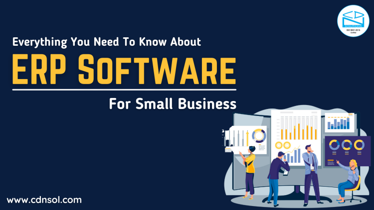 Everything You Need To Know About ERP Software For Small Business